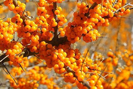 �������Y