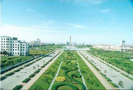 �������Y