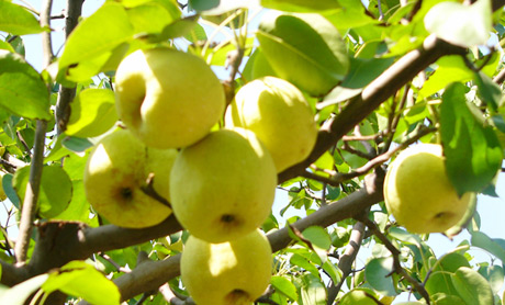 �������Y