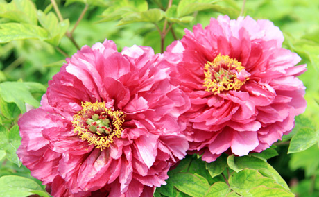 �������Y