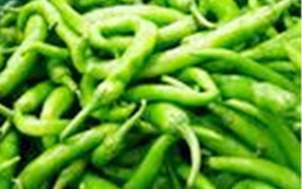 �������Y