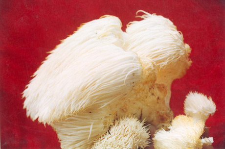 �������Y