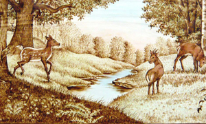 �������Y