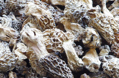 �������Y