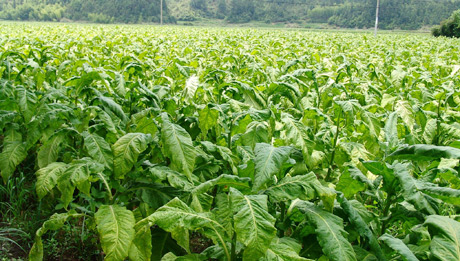 �������Y