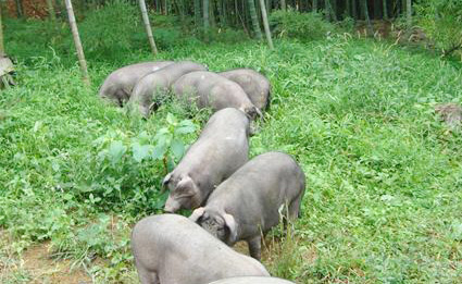 �������Y