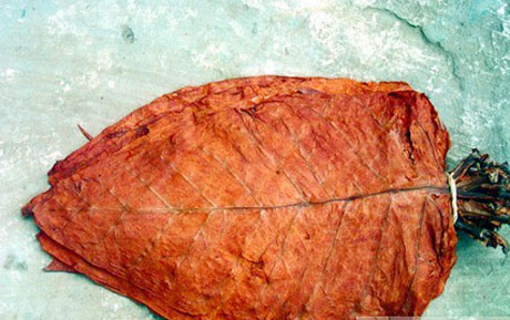 �������Y