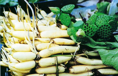 �������Y