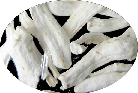 �������Y