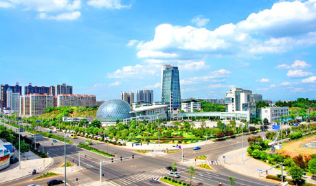 �������Y