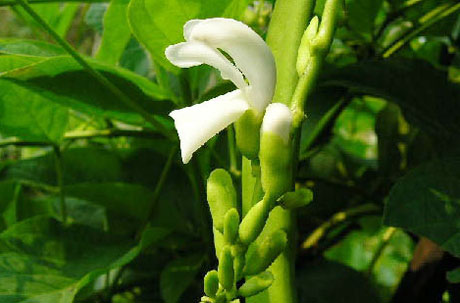 �������Y