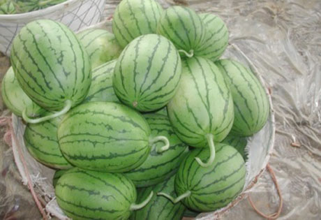 �������Y