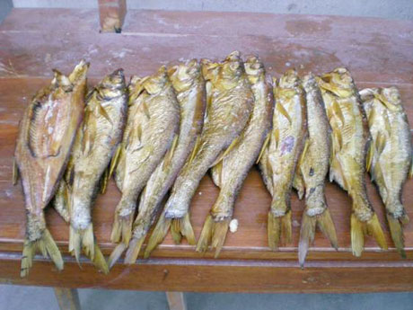 �������Y