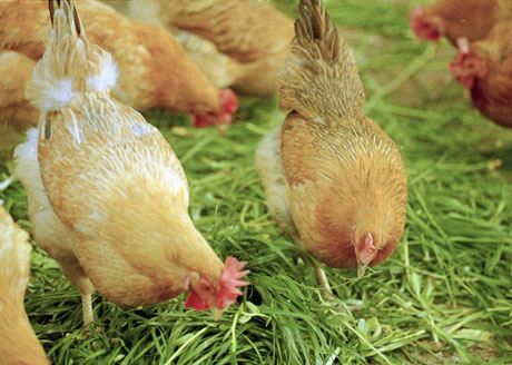 �������Y