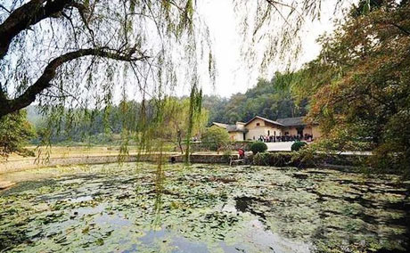 �������Y