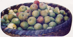 �������Y