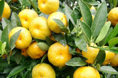 �������Y