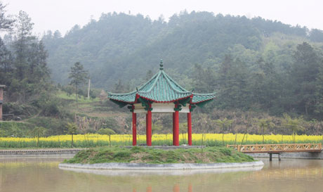 �������Y