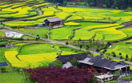 �������Y