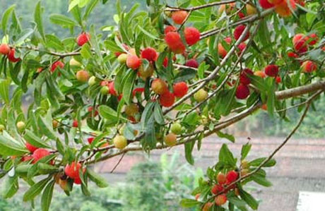 �������Y