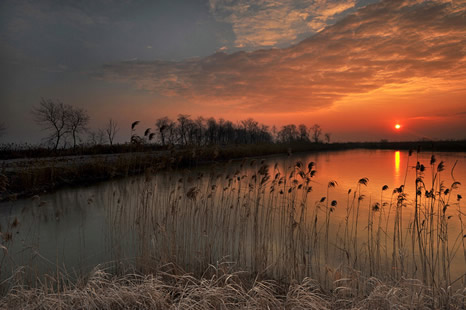 �������Y