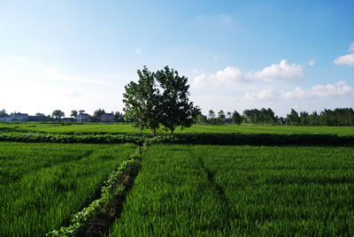 �������Y