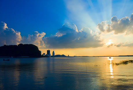 �������Y