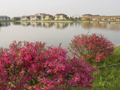 �������Y