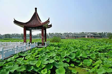 �������Y