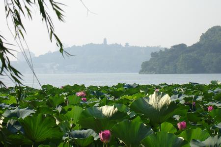 �������Y