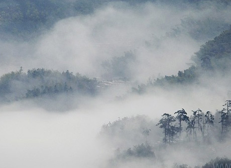 �������Y