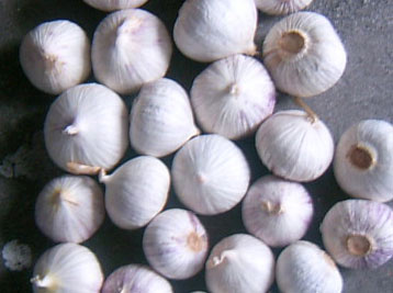 �������Y