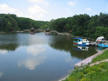 �������Y