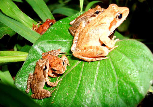 �������Y