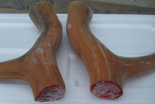 �������Y