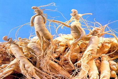 �������Y