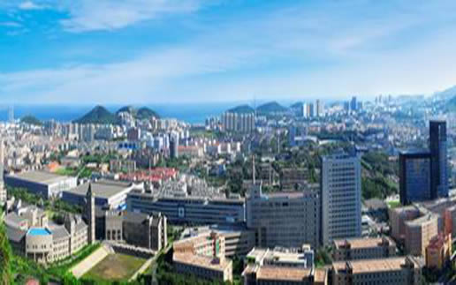 �������Y