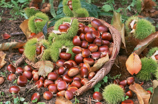 �������Y