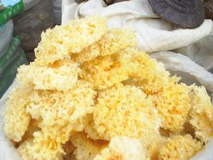 �������Y