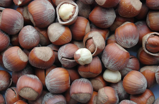 �������Y