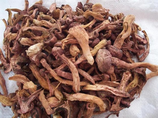 �������Y