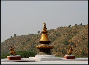 �������Y