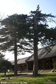 �������Y