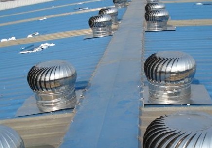 �������Y