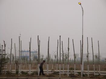 �������Y