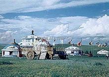 �������Y