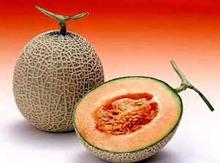 �������Y