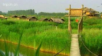 �������Y