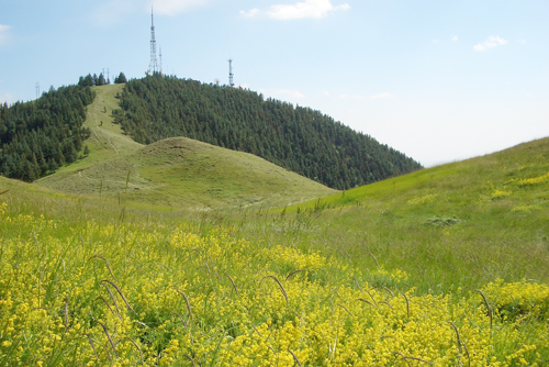 �������Y