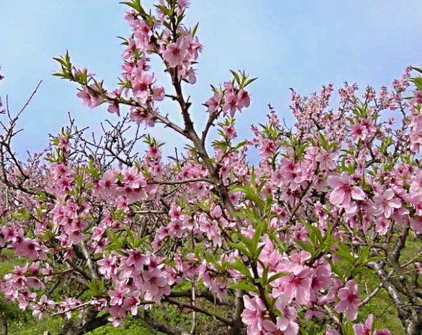 �������Y